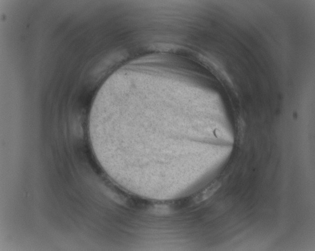 X0000081290114200702012254