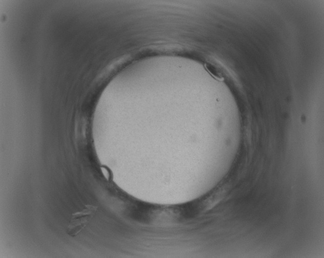 X0000081290115200702012254