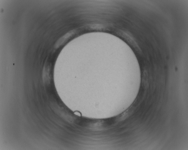 X0000081290116200702012254