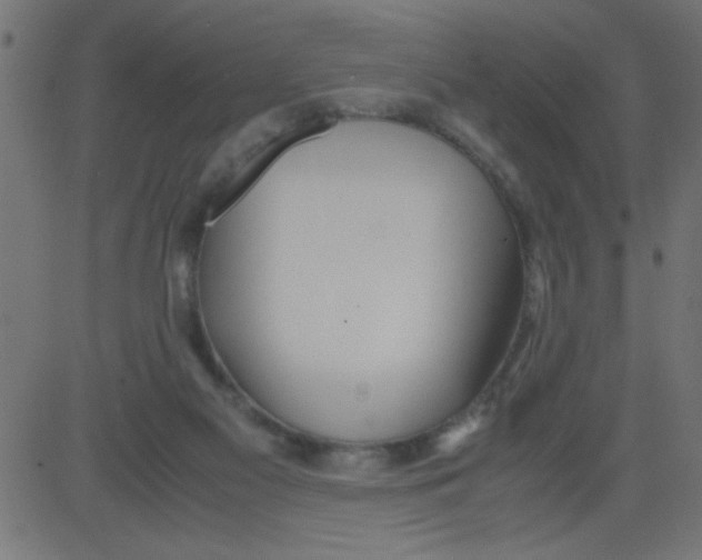 X0000081290117200702012254