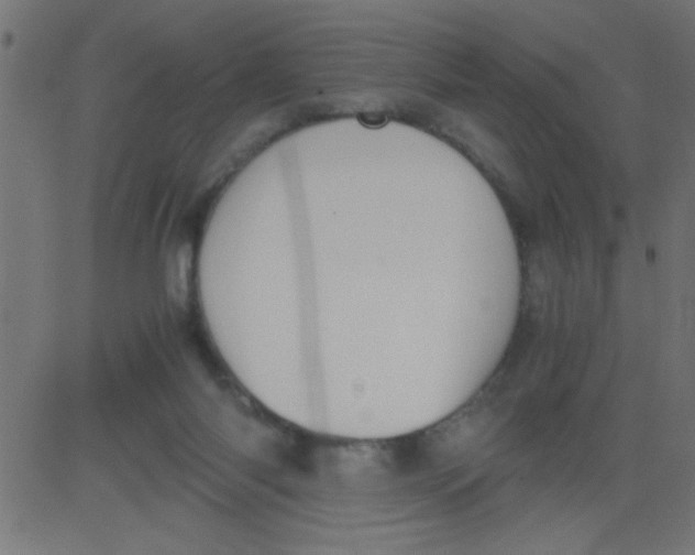 X0000081290118200702012254