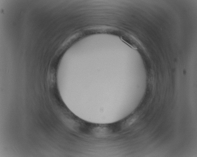 X0000081290119200702012254