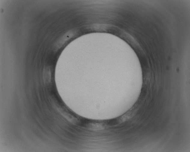 X0000081290120200702012254