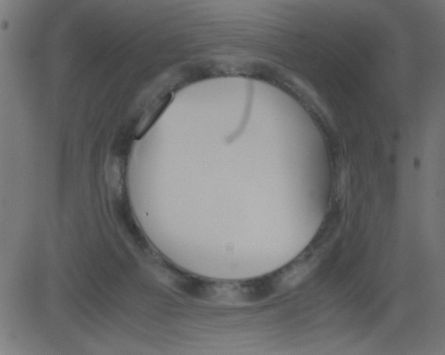 X0000081290121200702012254