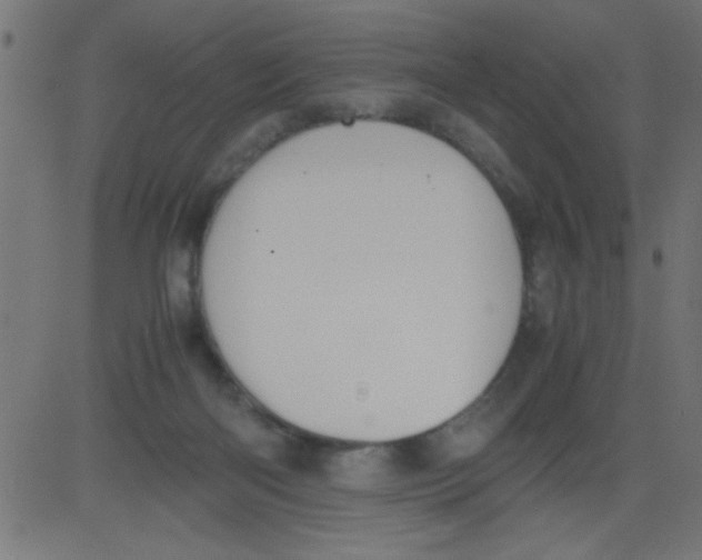 X0000081290122200702012254