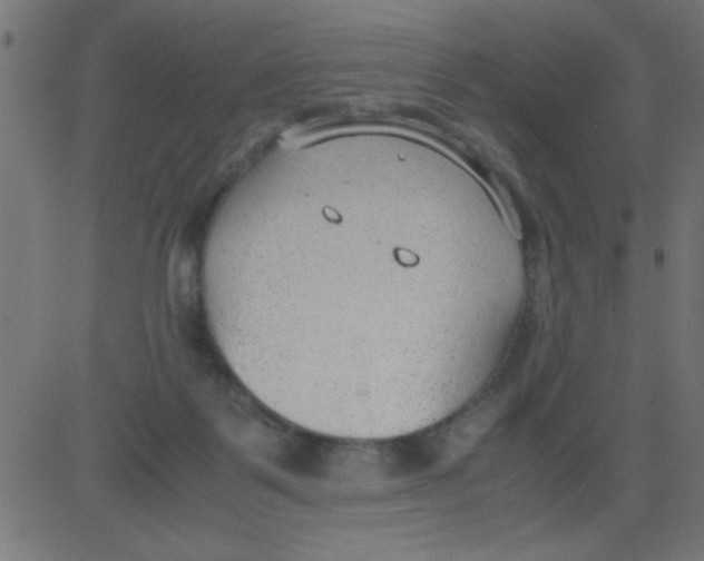 X0000081290123200702012254