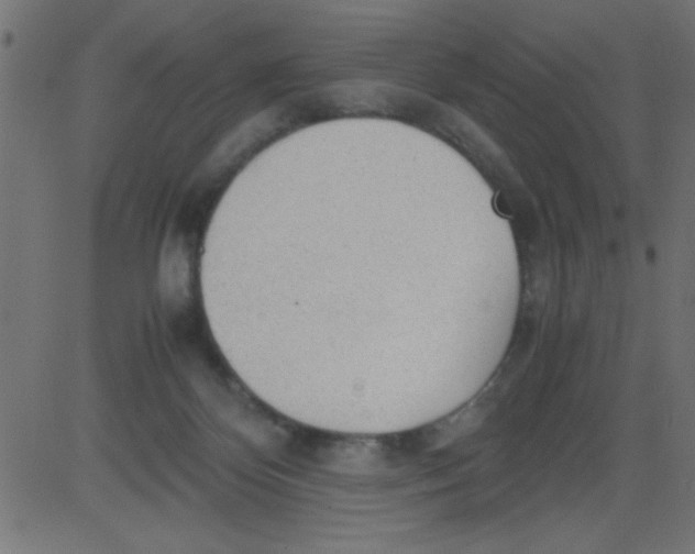 X0000081290124200702012254