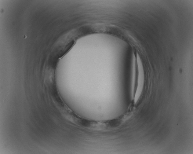 X0000081290125200702012254