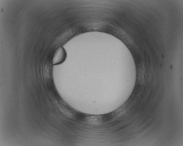 X0000081290126200702012254