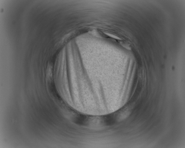 X0000081290127200702012254