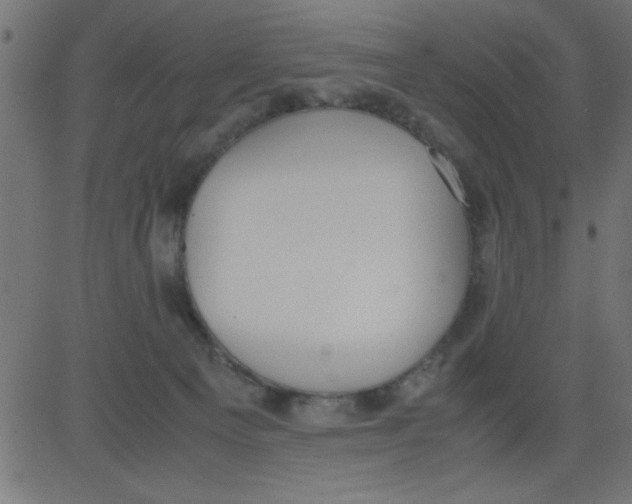 X0000081290129200702012254