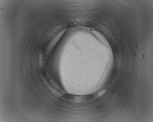 X0000081290130200702012254