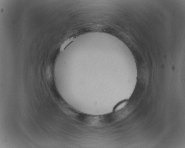 X0000081290131200702012254