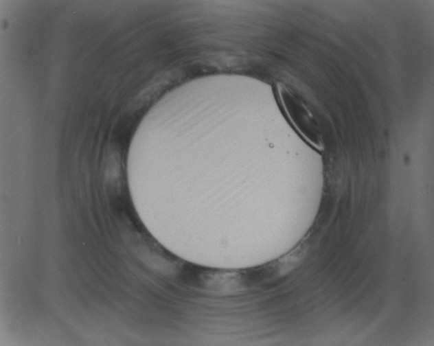 X0000081290132200702012254