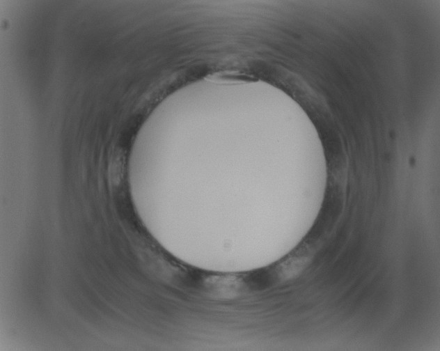 X0000081290133200702012254