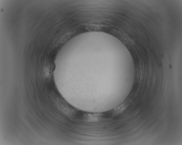 X0000081290134200702012254