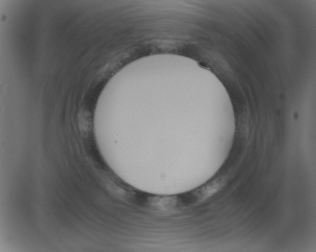 X0000081290135200702012254