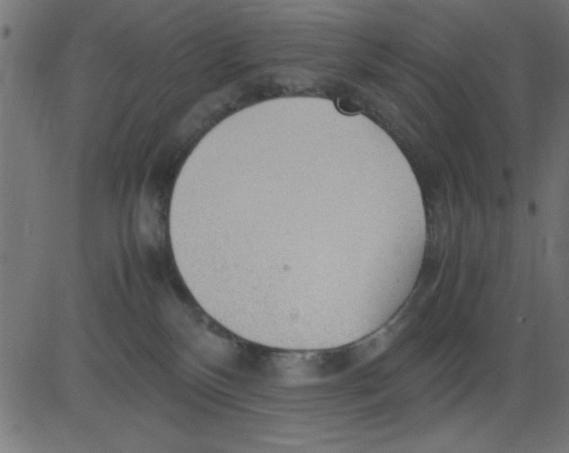 X0000081290136200702012254