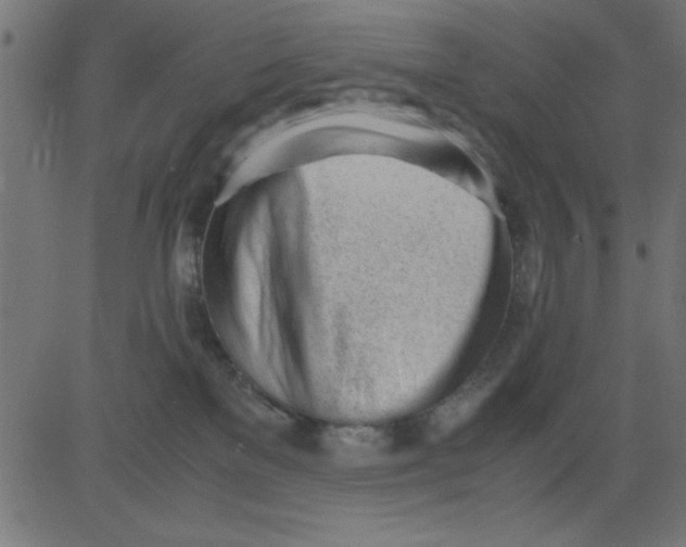 X0000081290137200702012254