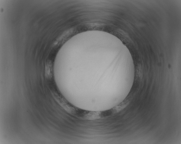 X0000081290138200702012253