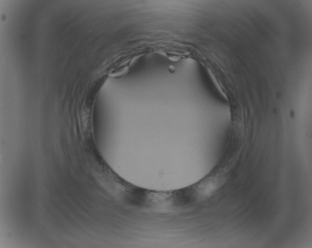 X0000081290139200702012253