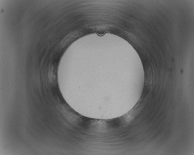 X0000081290140200702012253