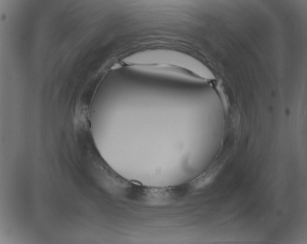 X0000081290141200702012253