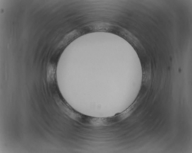 X0000081290142200702012253