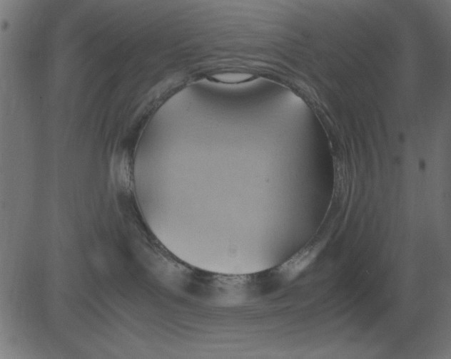 X0000081290143200702012253