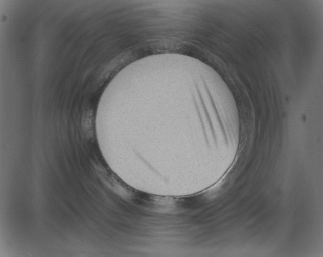 X0000081290144200702012253