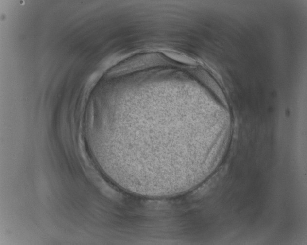 X0000081290145200702012253