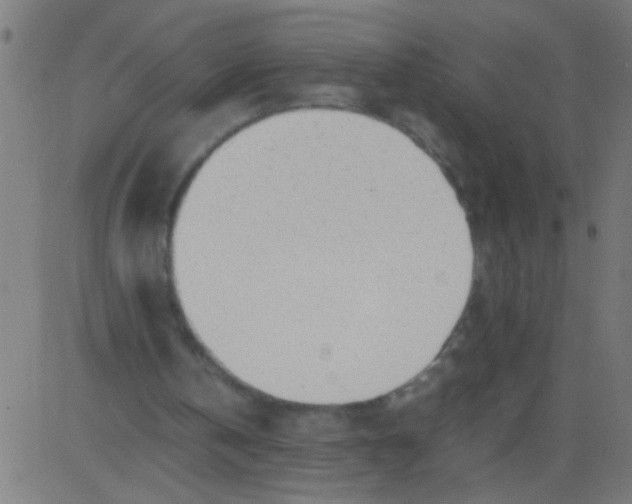 X0000081290146200702012253