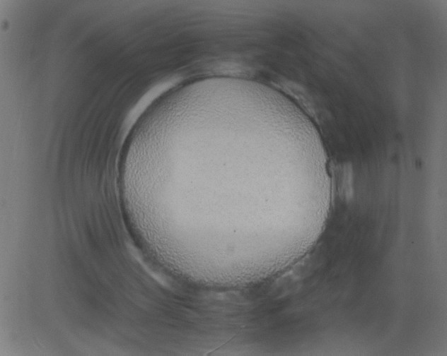 X0000081290147200702012253