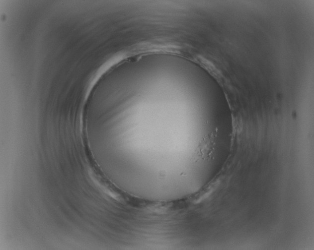 X0000081290148200702012253