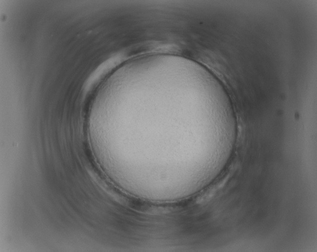 X0000081290149200702012253