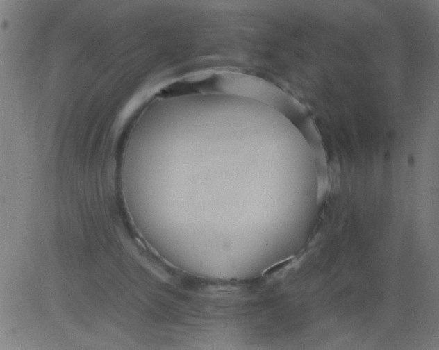 X0000081290150200702012253