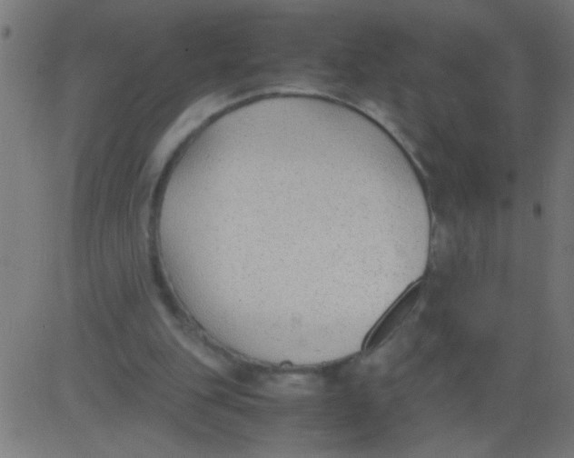 X0000081290151200702012253