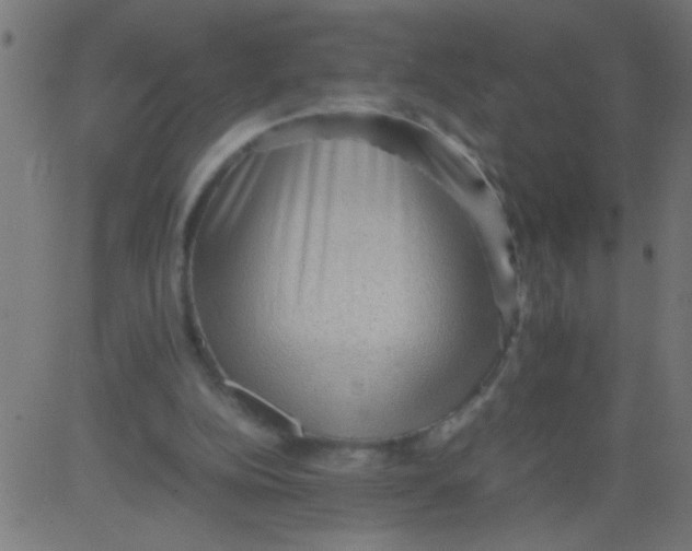 X0000081290152200702012253