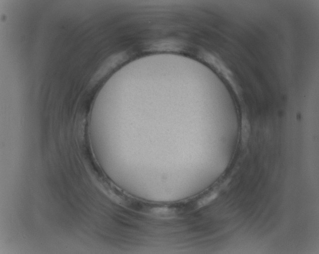 X0000081290153200702012253