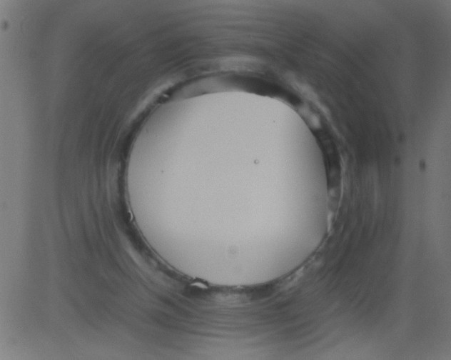 X0000081290154200702012253