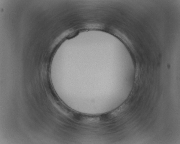 X0000081290155200702012253