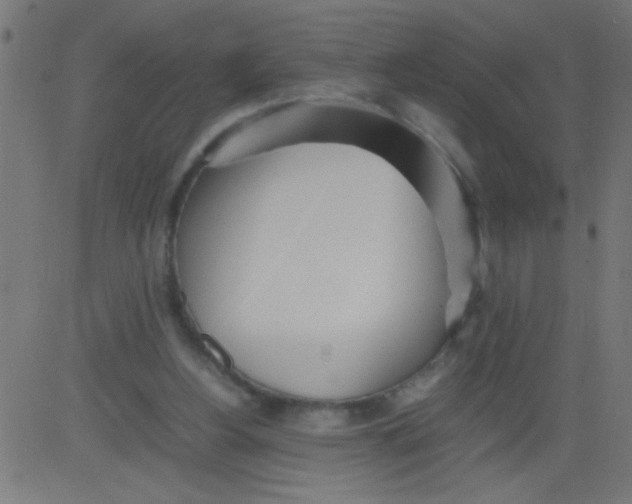 X0000081290156200702012253