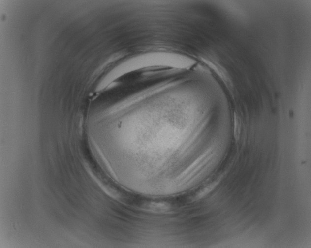 X0000081290157200702012253