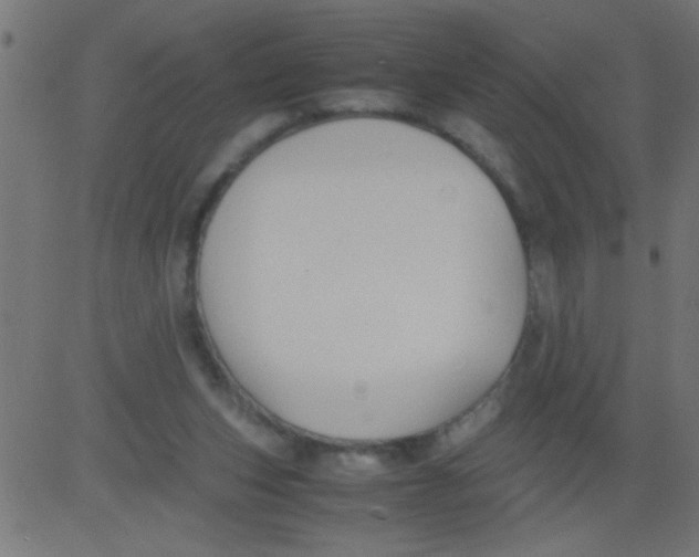 X0000081290159200702012253