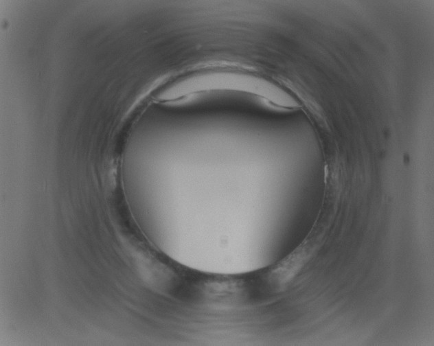 X0000081290160200702012253