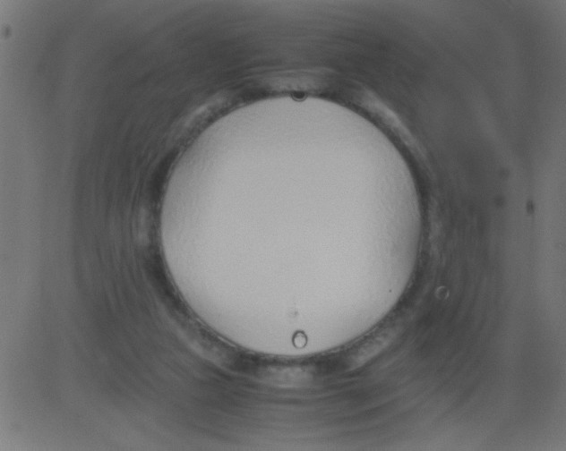 X0000081290161200702012253