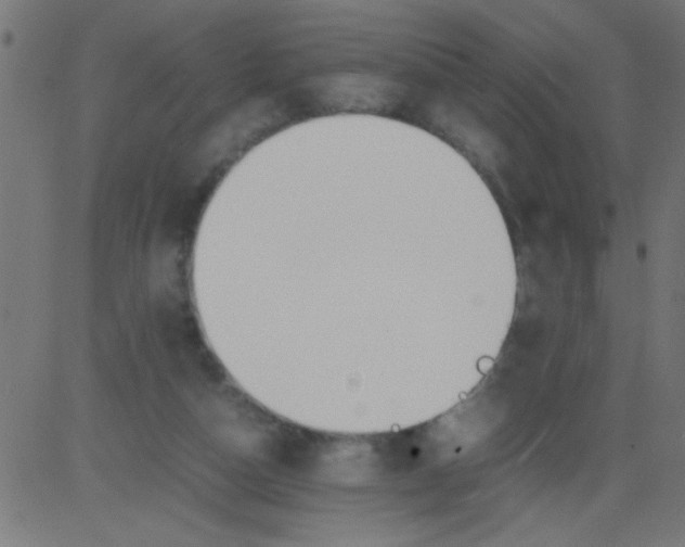 X0000081290162200702012253