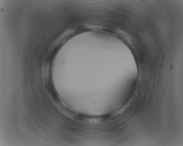 X0000081290163200702012253