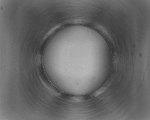 X0000081290164200702012253