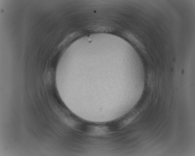 X0000081290165200702012253